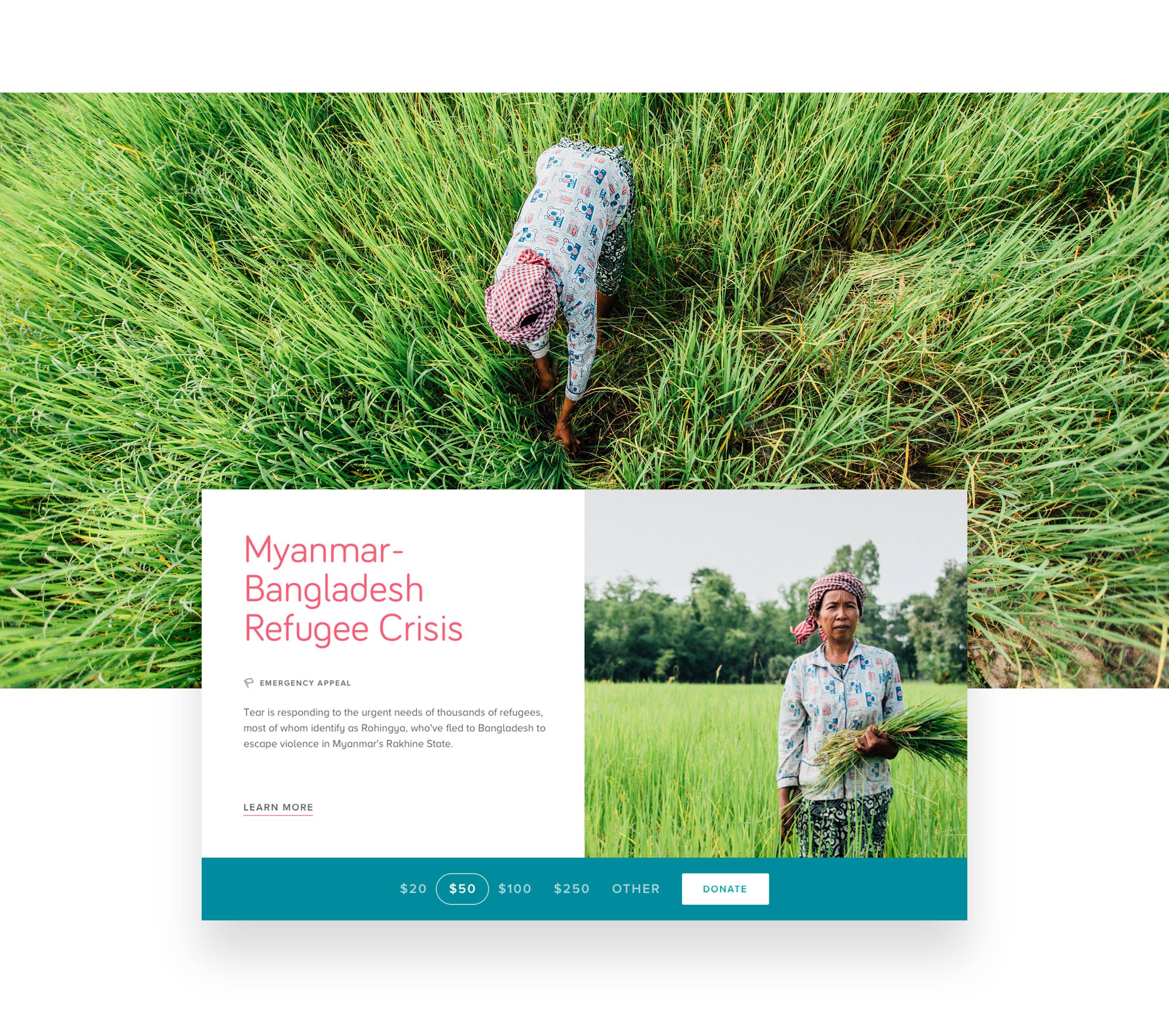 TEAR Australia Evolution 7