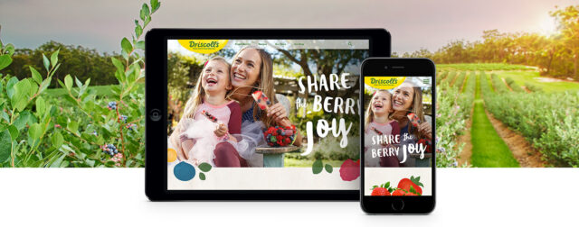 driscolls-case-study-banner-01