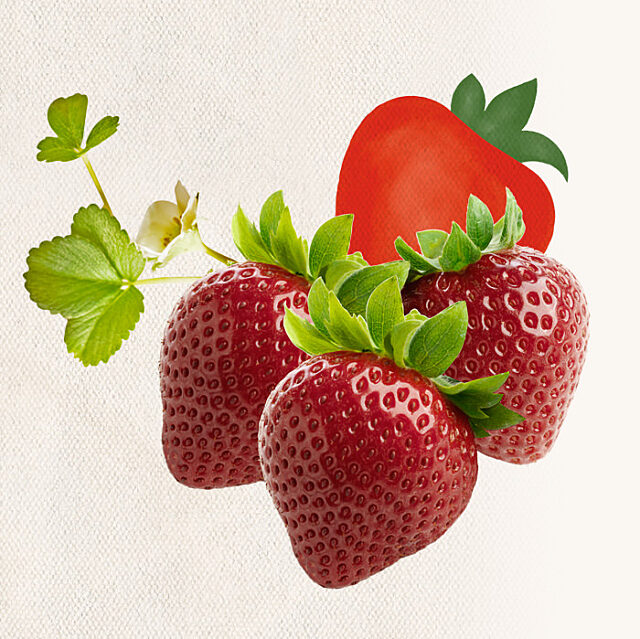 driscolls-case-study-sliding-doors-02a