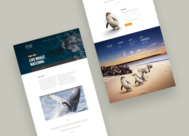 Visitphillipisland06